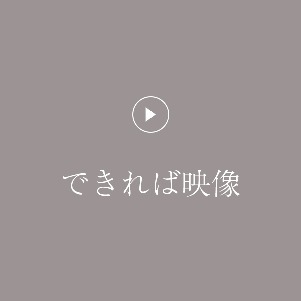 安城芸妓組合|安城芸妓文化振興会|笑美会(えびすかい) |安城芸者.芸子.芸姑.接待・お遊びのお座敷を伝統文化のお遊びで盛り上げます。